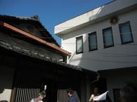 DSCN8401
