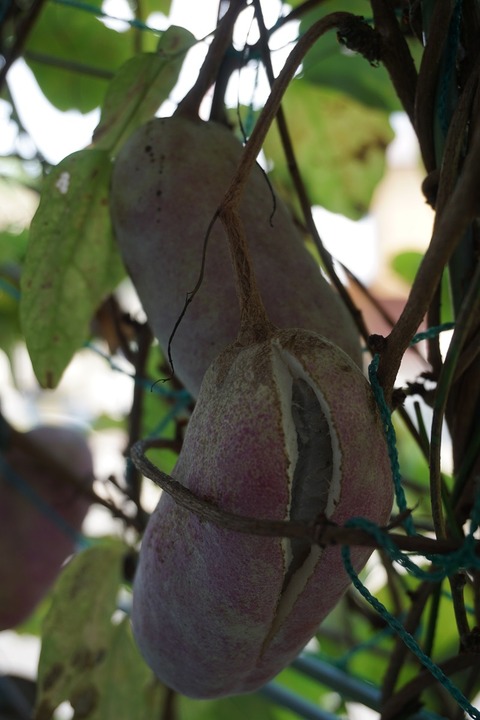 DSC07880