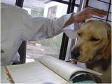 �������������