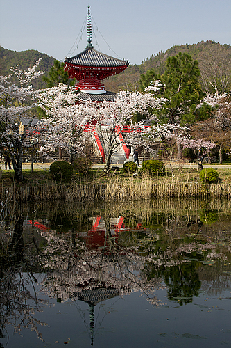 大覚寺/大沢池(京都)
