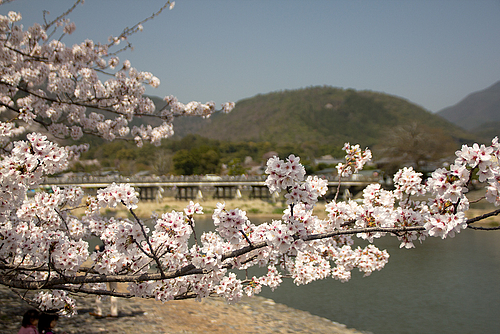 嵐山(京都)