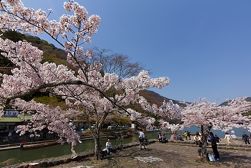 嵐山(京都)