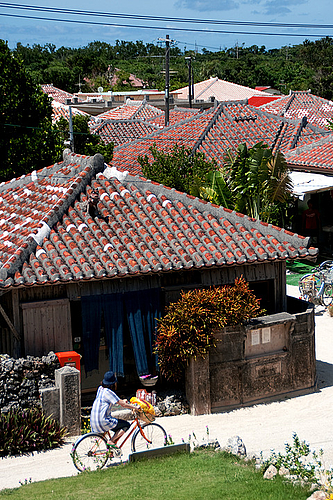 0721-114 竹富島らしい風景 0721-114 竹富島らしい風景