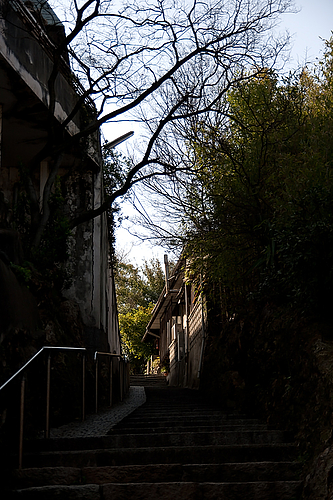 圓福寺 大可島城跡への坂道 圓福寺 大可島城跡への坂道