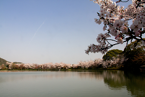 大覚寺/大沢池(京都)