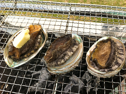 あわびステーキ あわびステーキ