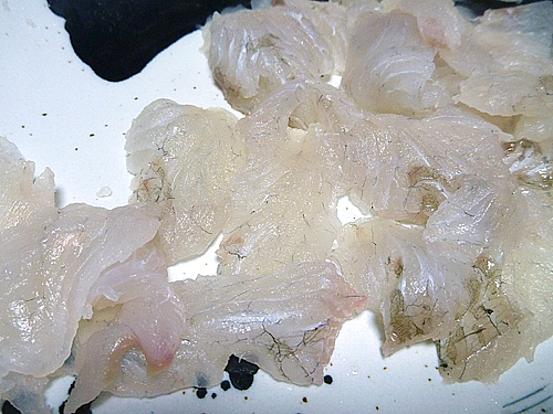 20100610-123 20100610-123