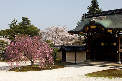 大覚寺(京都)