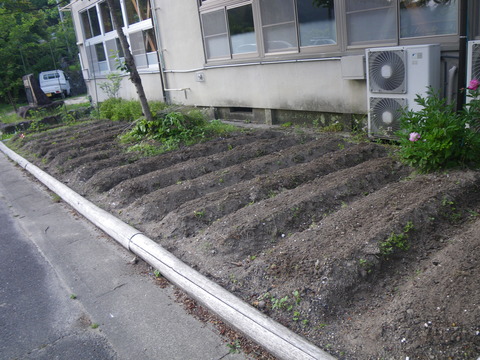 IMGP1244