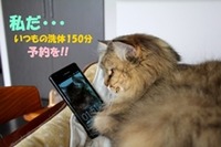 RS=^ADBiynDOEVLCUyb7zJpY0l7sV7WwNo-
