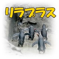 yjimage