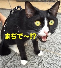 RS=^ADBWStZADJr3XuWo70n