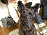 DSCN0301_R