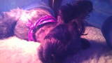 20091222140556