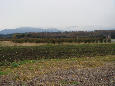 DSC01628
