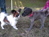 DSCN1492_R