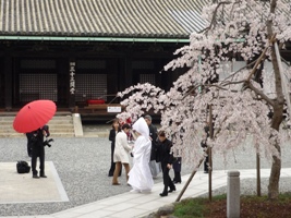 kyoto2