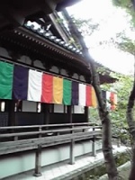 798f6317.jpg
