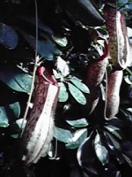 851d1197.jpg
