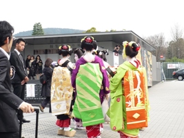 kyoto3