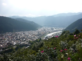 c2738d25.jpg