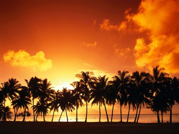 bigpreview_Sunset%20thru%20Palm%20Tree,%20Island