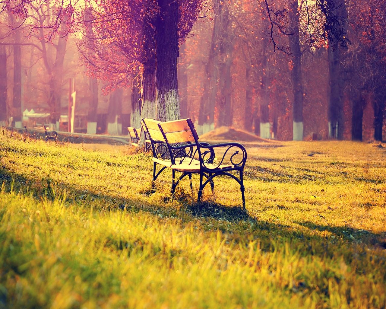 autumn_landscape-1280x1024