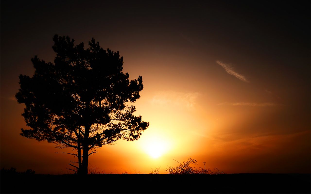 sunrise-1280x800