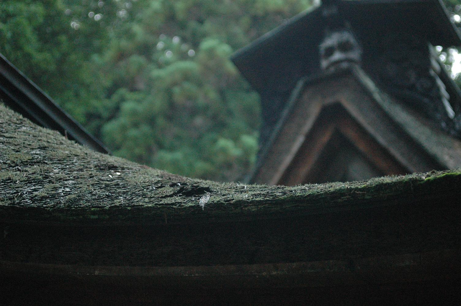 心霊写真では・・・