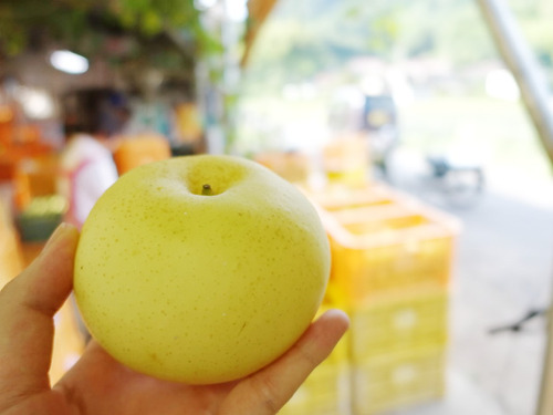 PR]前田梨園 鳥取のおみやげには、梨がまるごと入った「20世紀梨ゼリー