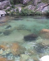 水
