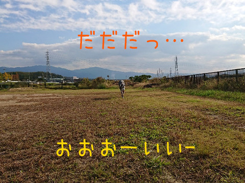 t8