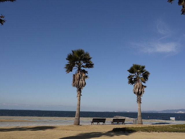 P1020527