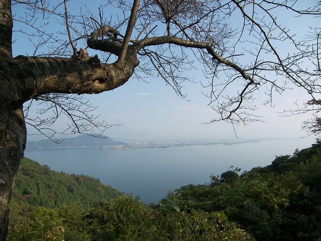 100_9560