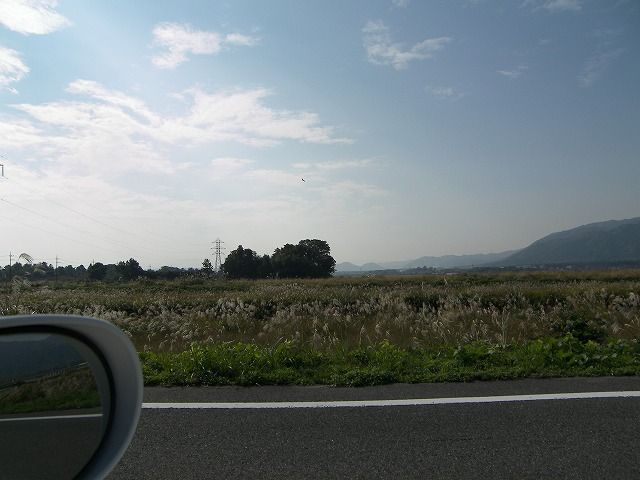 100_9544