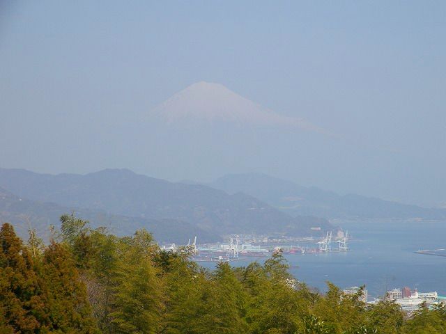 100_8037