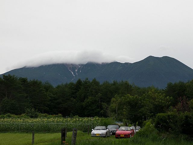nomugi100_5178