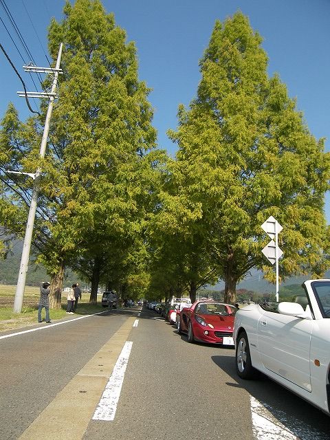 100_9523