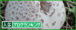 br_decobanner_20101020205048