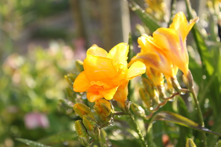 03 (2)