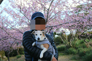 BlogPaint
