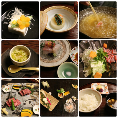 collage_photocat