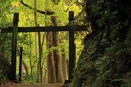 22小松寺 (51)