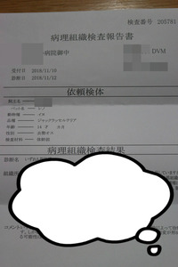 BlogPaint