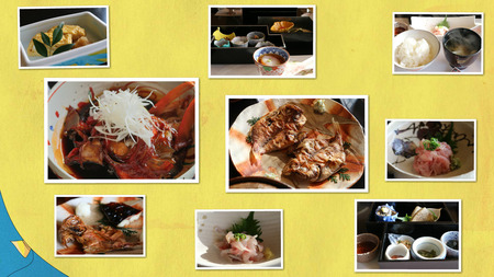 collage_photocat5