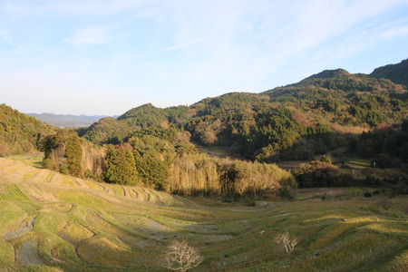 IMG_9575