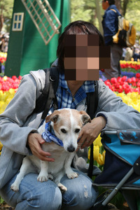 BlogPaint