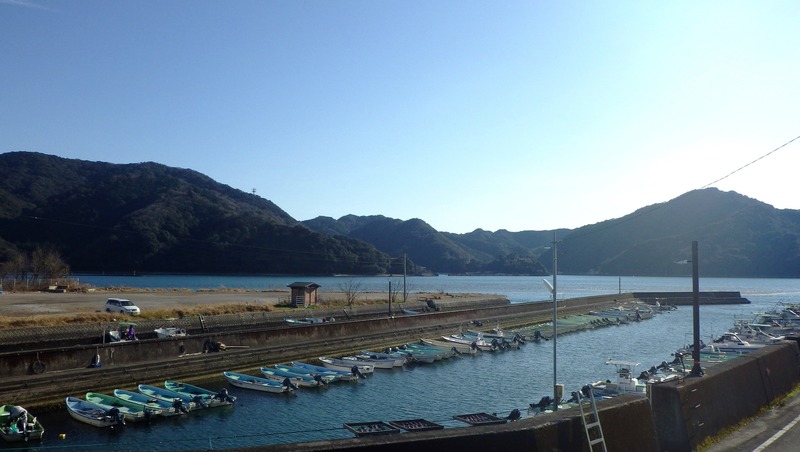 IMGP5528