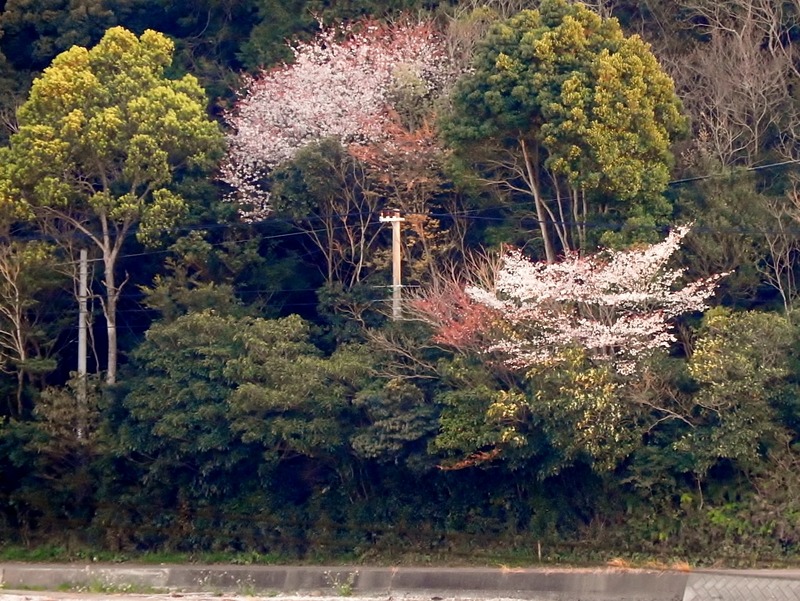 DSCN2078