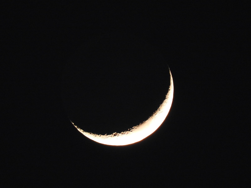 DSCN0545